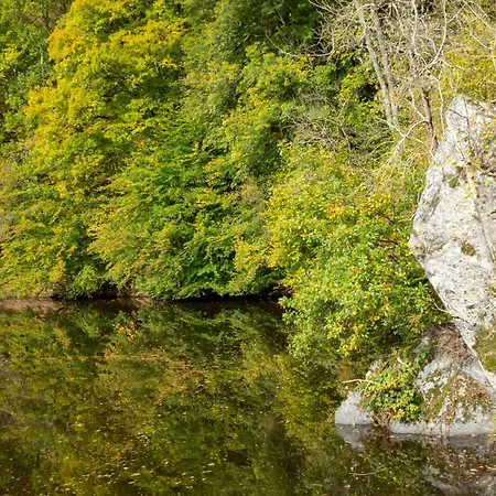 Coco Sweet With Sanitary 라로셰안알데네