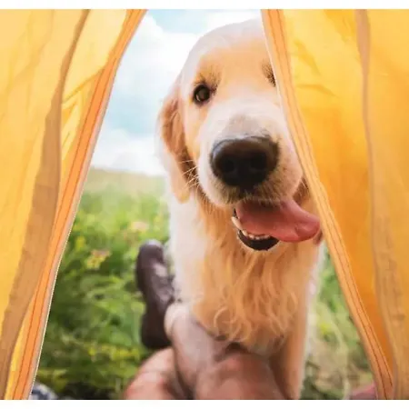 Coco Sweet With Sanitary 리조트 라로셰안알데네